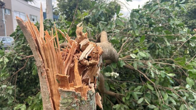 Temporal causa estragos e deixa Varginha sem energia
