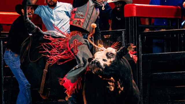 Rodeio e grandes shows em Campo Belo em setembro